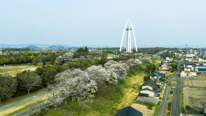 桜とタワーの空撮